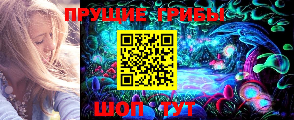 Галлюциногенные грибы Cubensis  Вход с VPN  Шарыпово 