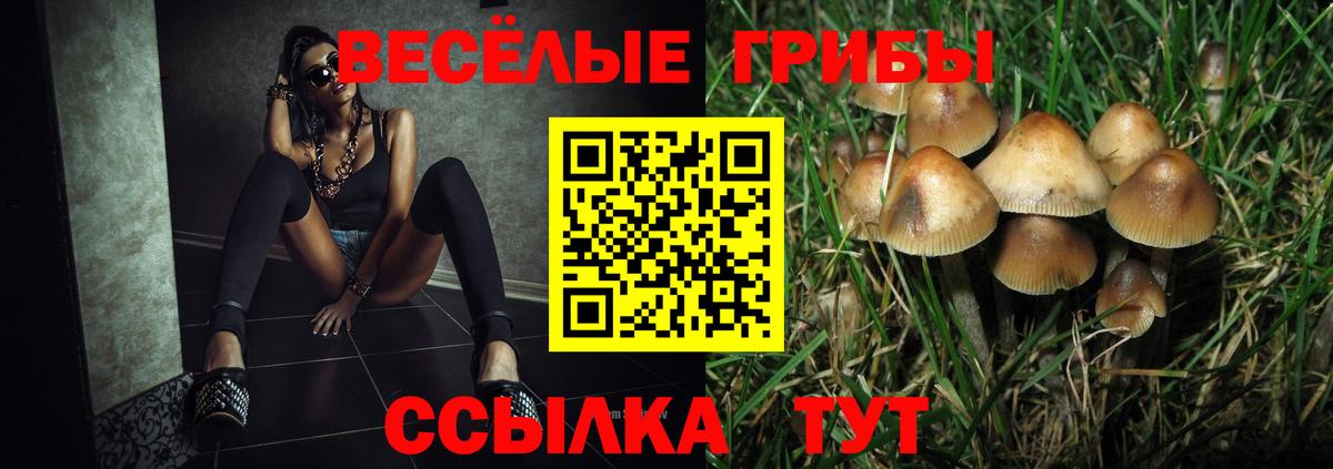 Псилоцибиновые грибы Magic Shrooms Шарыпово